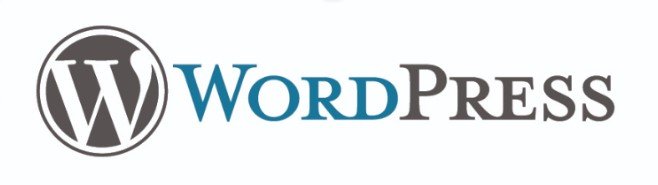 Best WordPress Developer USA